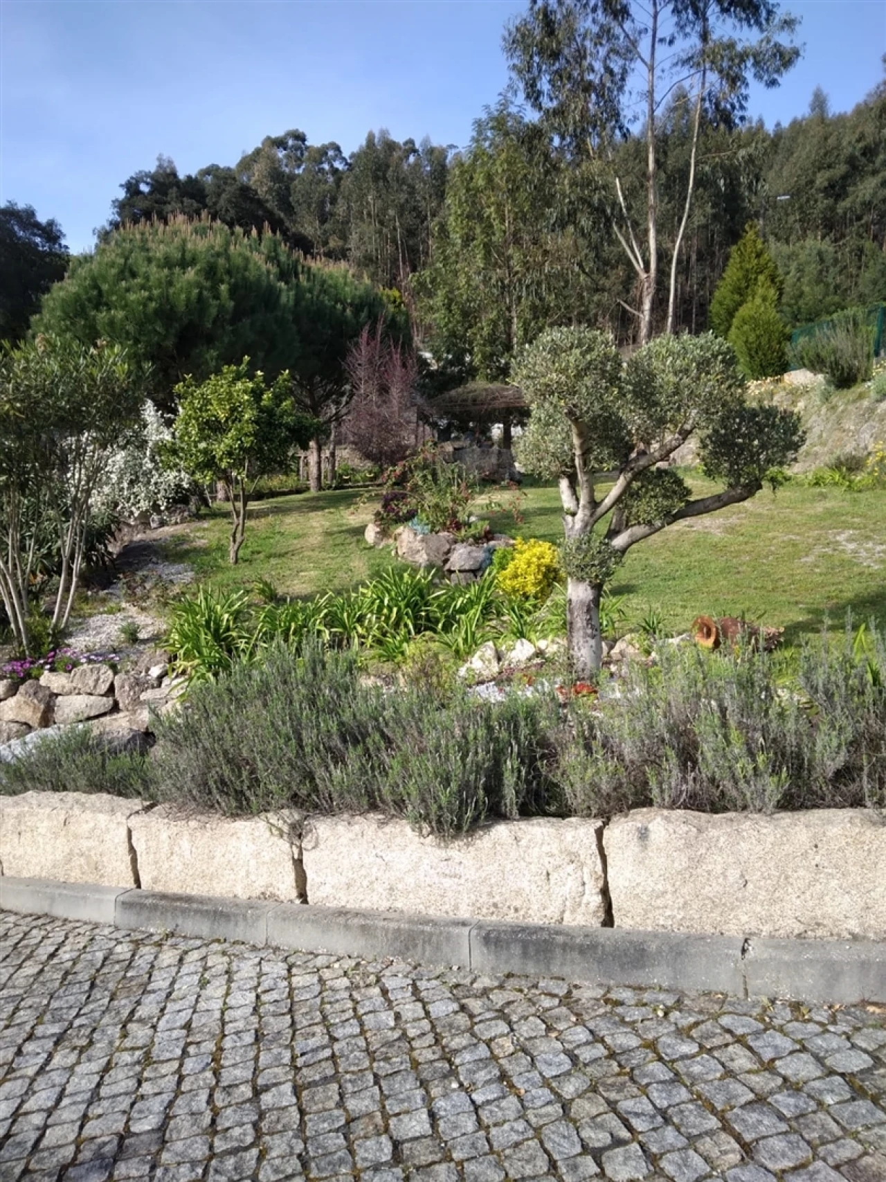 Quinta T3 para Venda em Sousela Foto 29