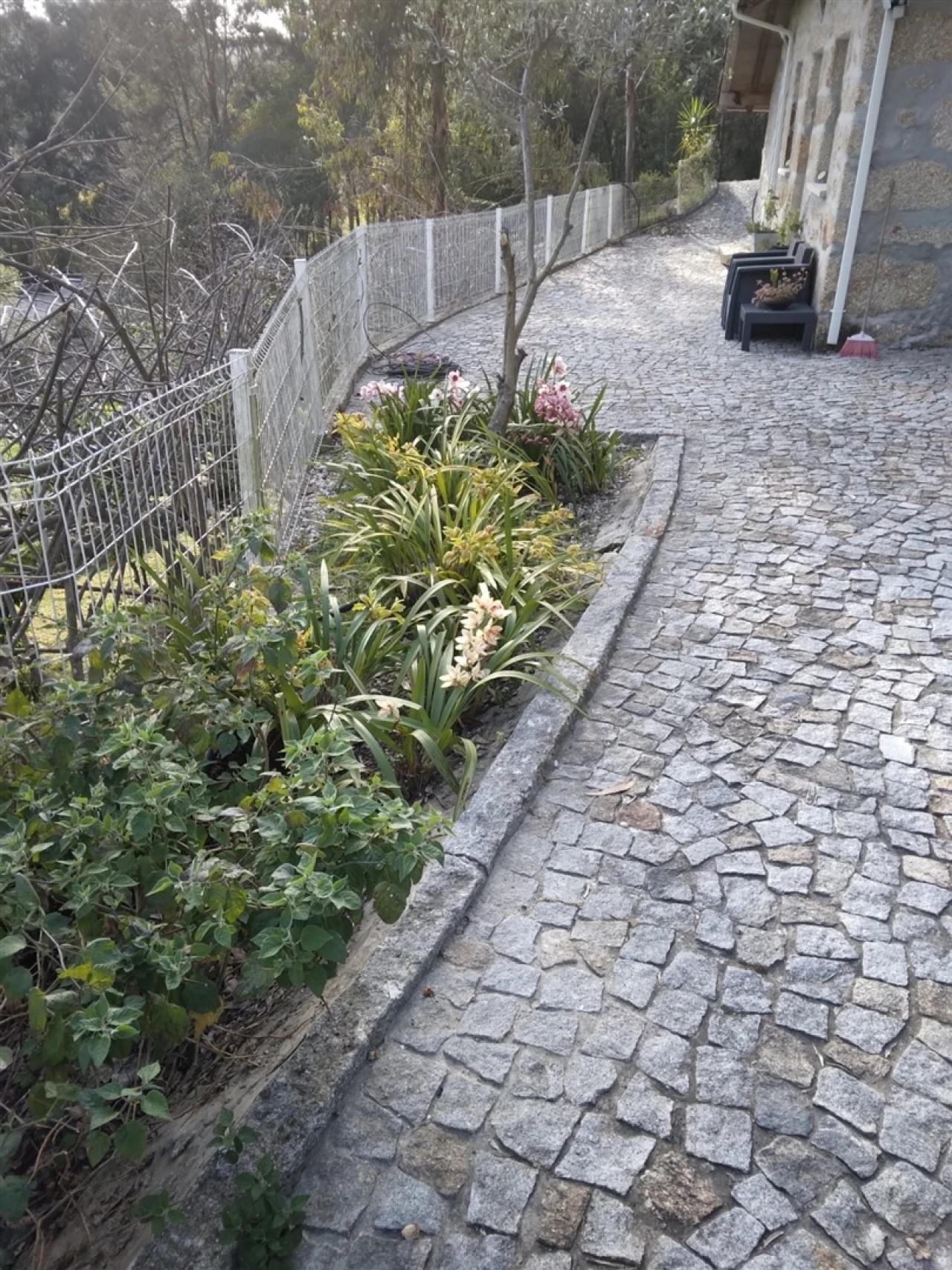 Quinta T3 para Venda em Sousela Foto 27