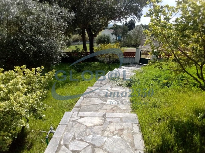 Moradia T6 para Venda em Torres Novas (Santa Maria, Salvador e Santiago) Foto 15