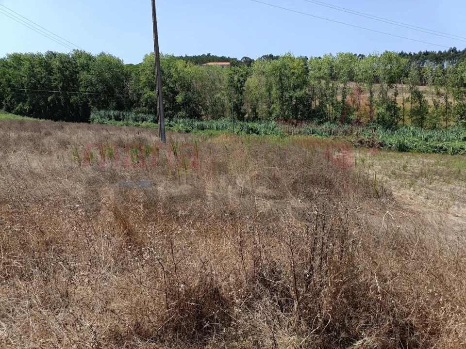 Terreno para Venda em Lourinhã e Atalaia Foto 3
