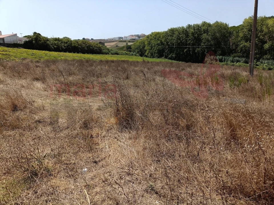 Terreno para Venda em Lourinhã e Atalaia Foto 4