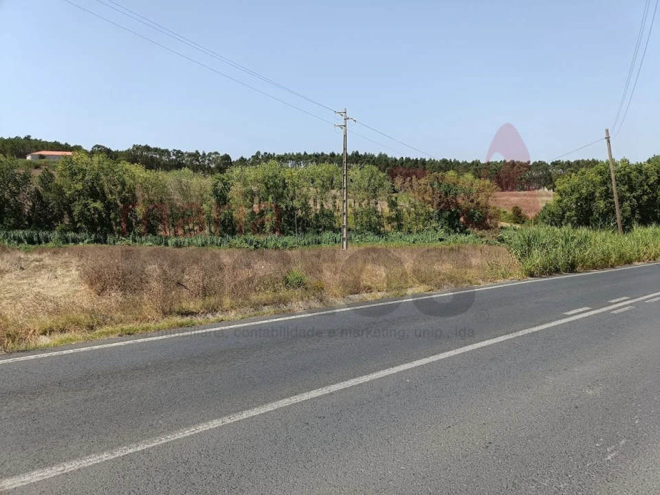 Terreno para Venda em Lourinhã e Atalaia Foto 5