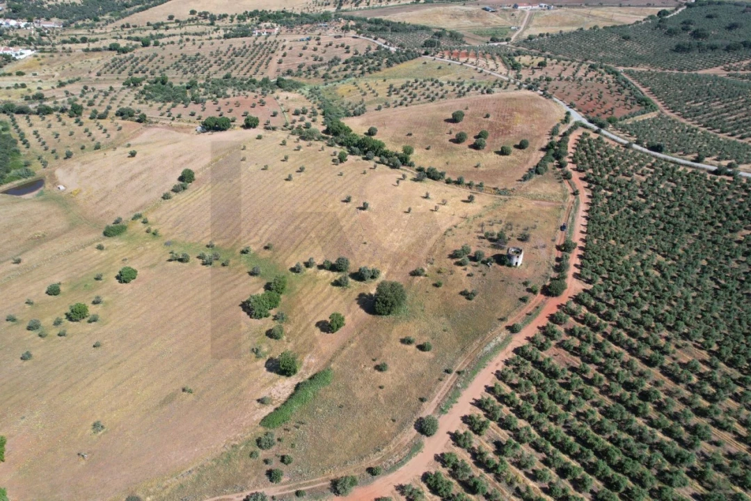 Terreno para Venda em Nossa Senhora de Machede Foto 8