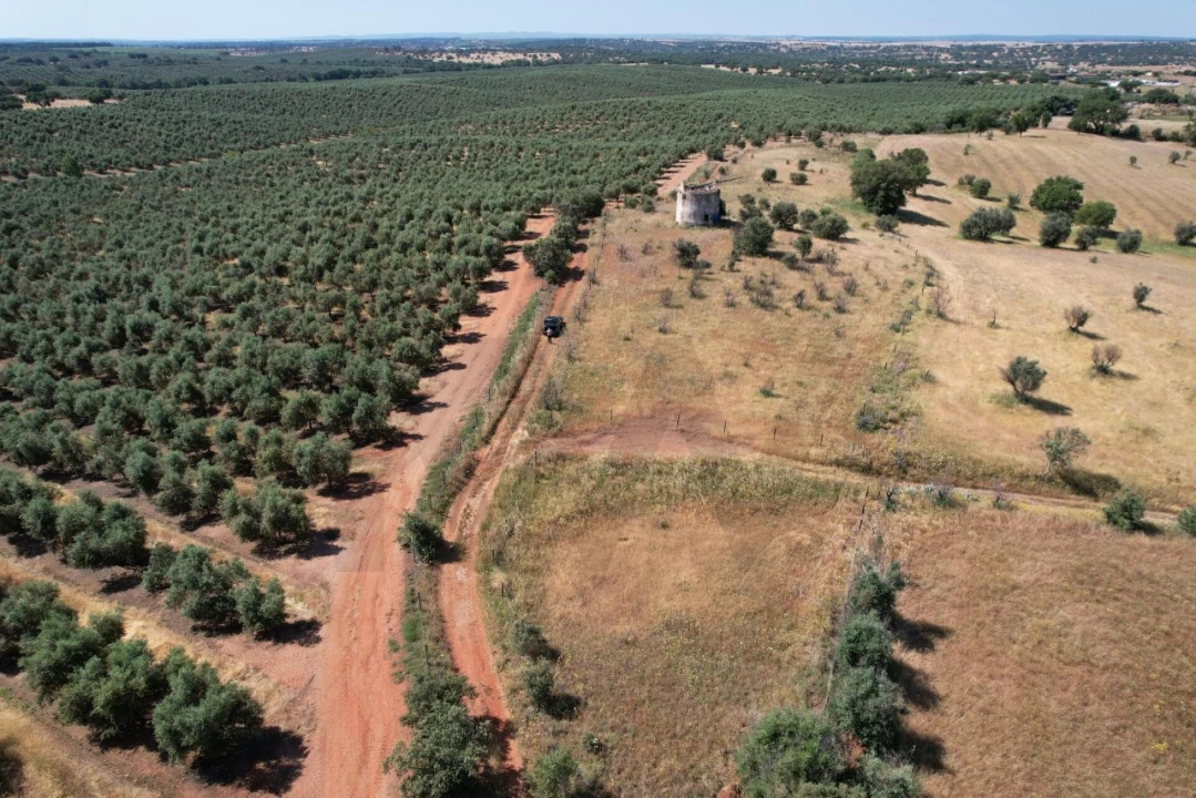 Terreno para Venda em Nossa Senhora de Machede Foto 14