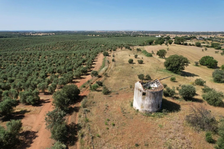 Terreno para Venda em Nossa Senhora de Machede Foto 4