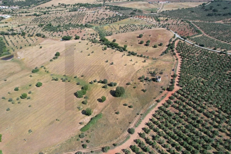 Terreno para Venda em Nossa Senhora de Machede Foto 8