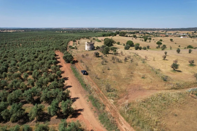 Terreno para Venda em Nossa Senhora de Machede Foto 12