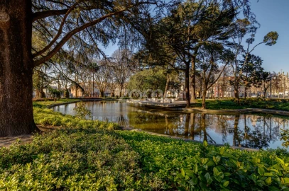 Apartamento T7 para Venda em Cedofeita, Santo Ildefonso, Sé, Miragaia, São Nicolau e Vitória