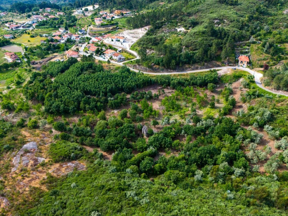 Quinta T0 para Venda em Lufrei Foto 2