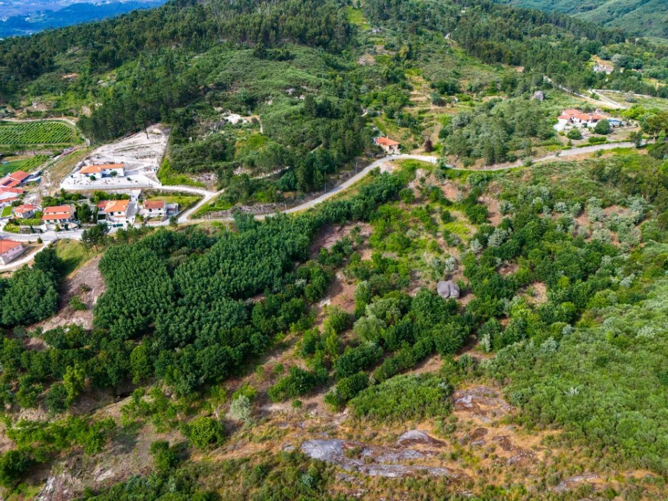 Quinta T0 para Venda em Lufrei Foto 20