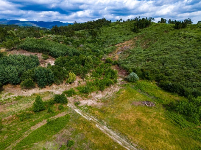 Quinta T0 para Venda em Lufrei Foto 11