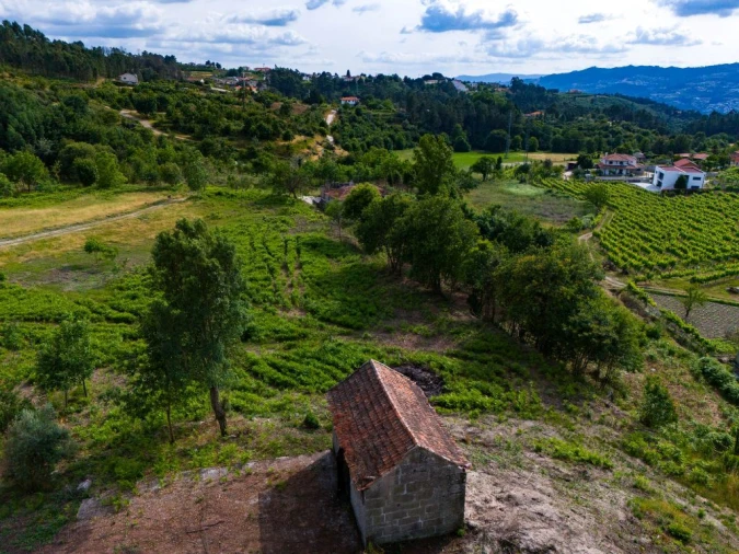 Quinta T0 para Venda em Lufrei Foto 12