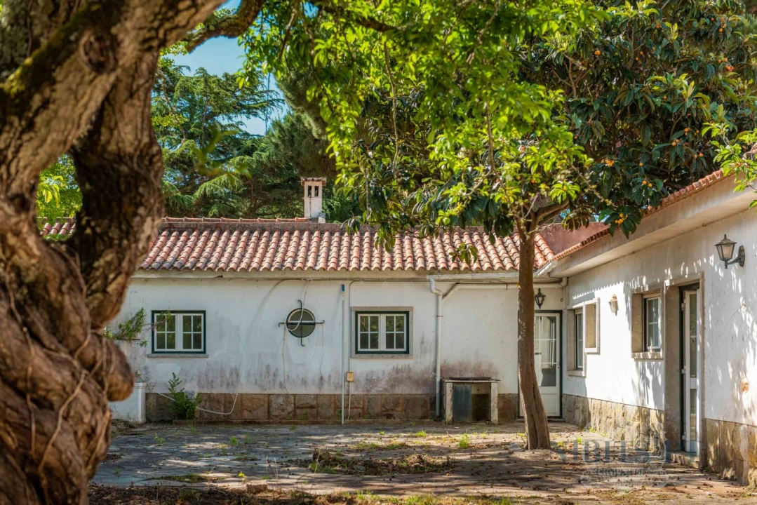 Moradia T7 para Venda em Cascais e Estoril Foto 15