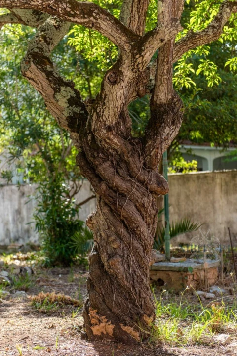 Moradia T7 para Venda em Cascais e Estoril