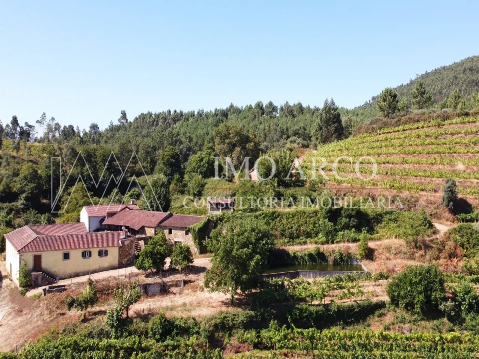 Quinta T4 para Venda em Arco de Baúlhe e Vila Nune Foto 27