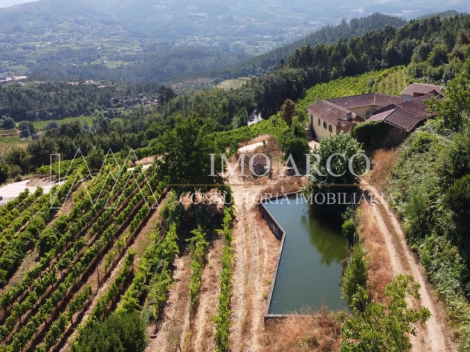 Quinta T4 para Venda em Arco de Baúlhe e Vila Nune Foto 3