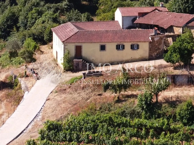 Quinta T4 para Venda em Arco de Baúlhe e Vila Nune Foto 28