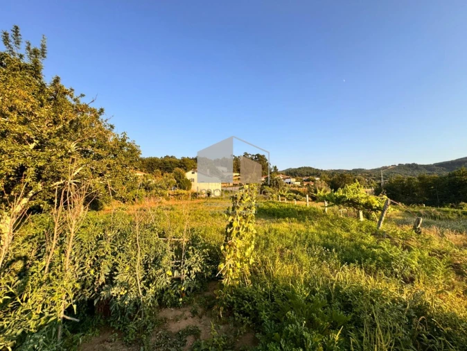 Terreno para Venda em Cornes Foto 6