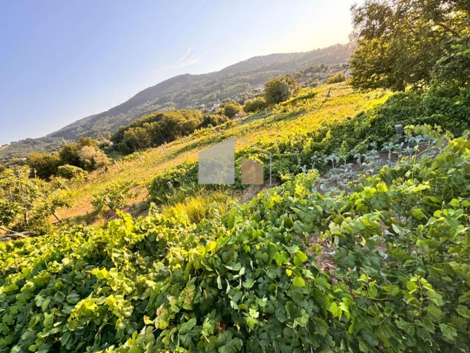 Terreno para Venda em Cornes Foto 3