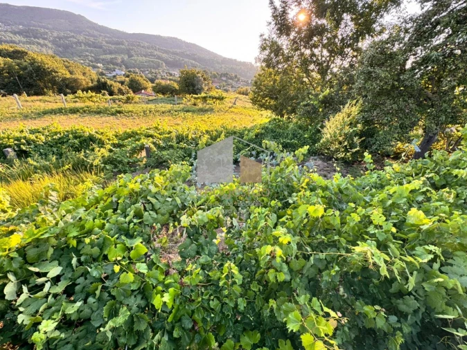 Terreno para Venda em Cornes