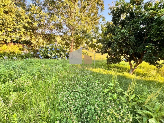 Terreno para Venda em Cornes Foto 5