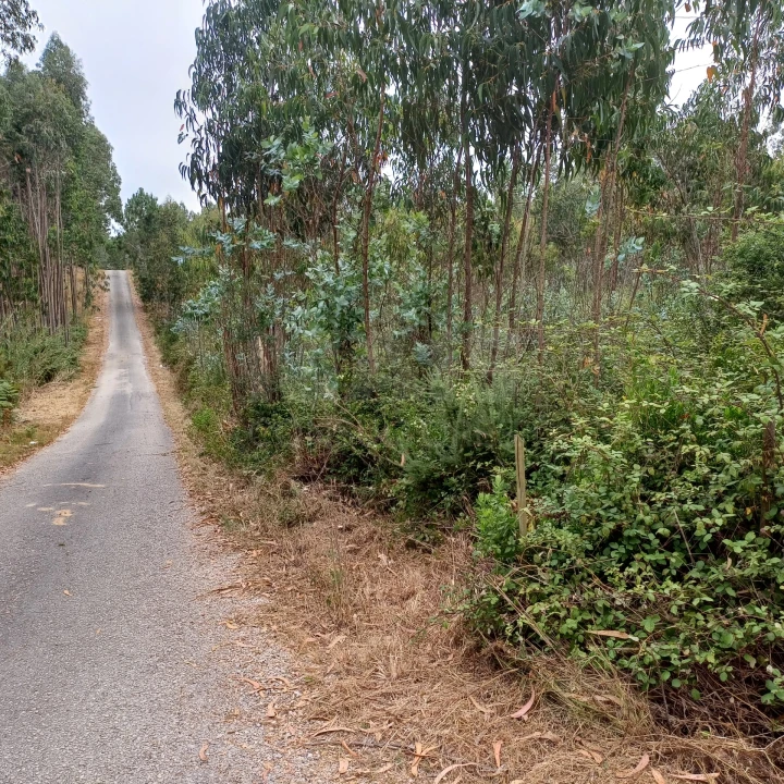 Terreno para Venda em Vidais Foto 1