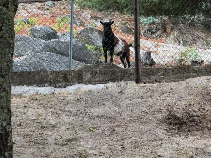 Quinta T3 para Venda em Armil Foto 102