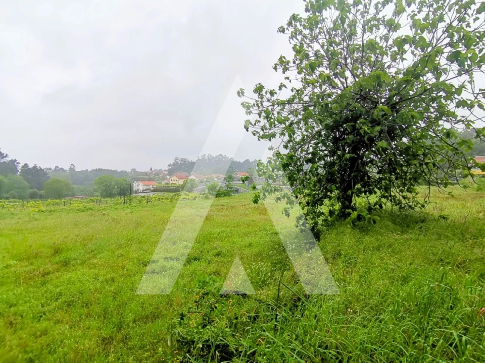Terreno para Venda em Fonte Arcada Foto 2