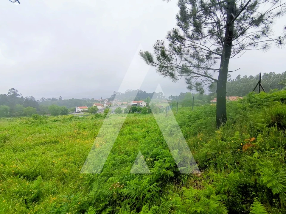 Terreno para Venda em Fonte Arcada Foto 3