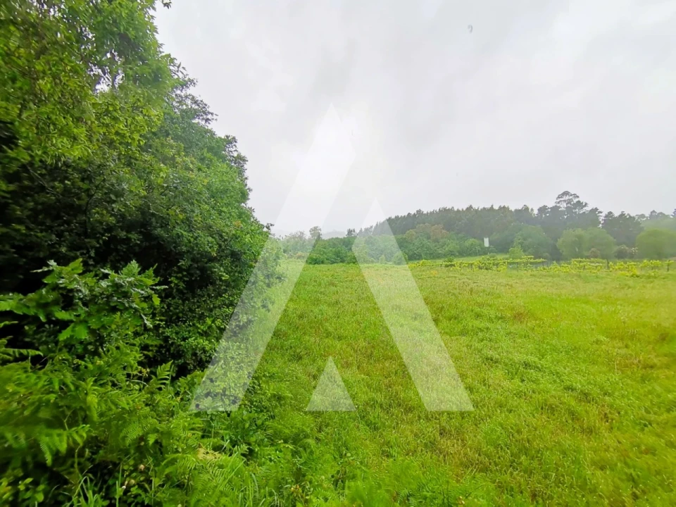 Terreno para Venda em Fonte Arcada Foto 6