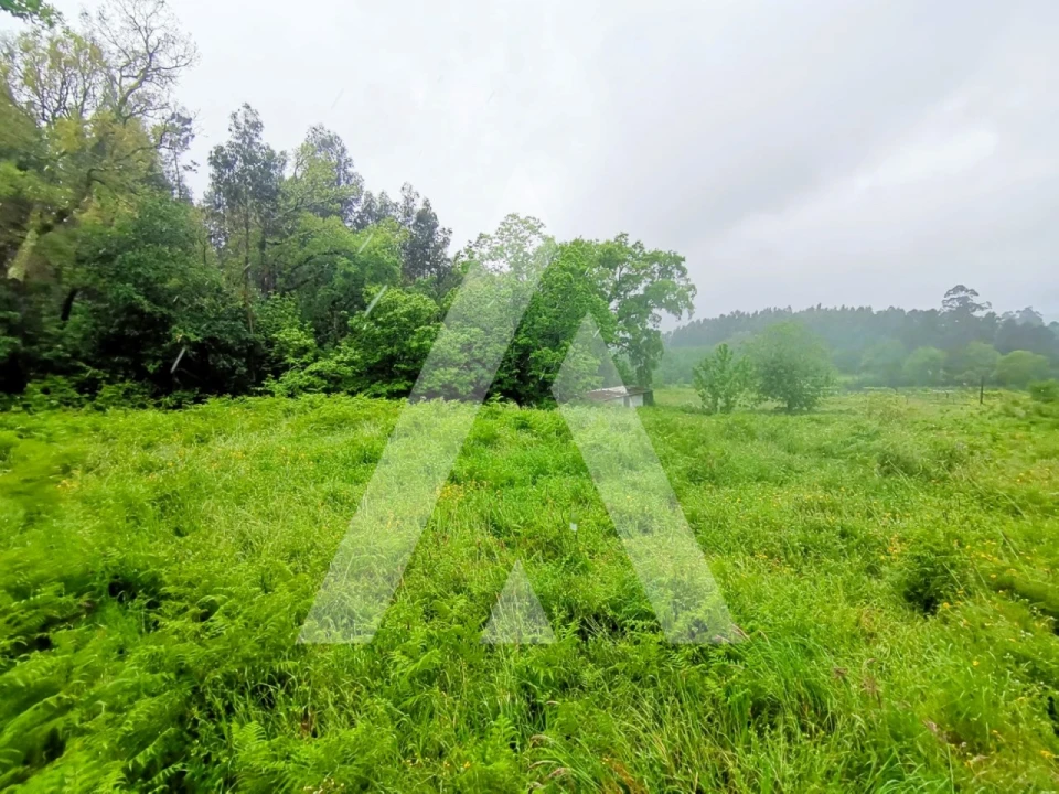Terreno para Venda em Fonte Arcada Foto 7