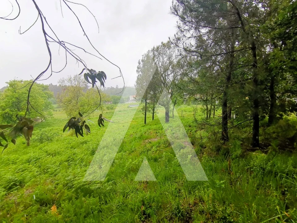 Terreno para Venda em Fonte Arcada Foto 9