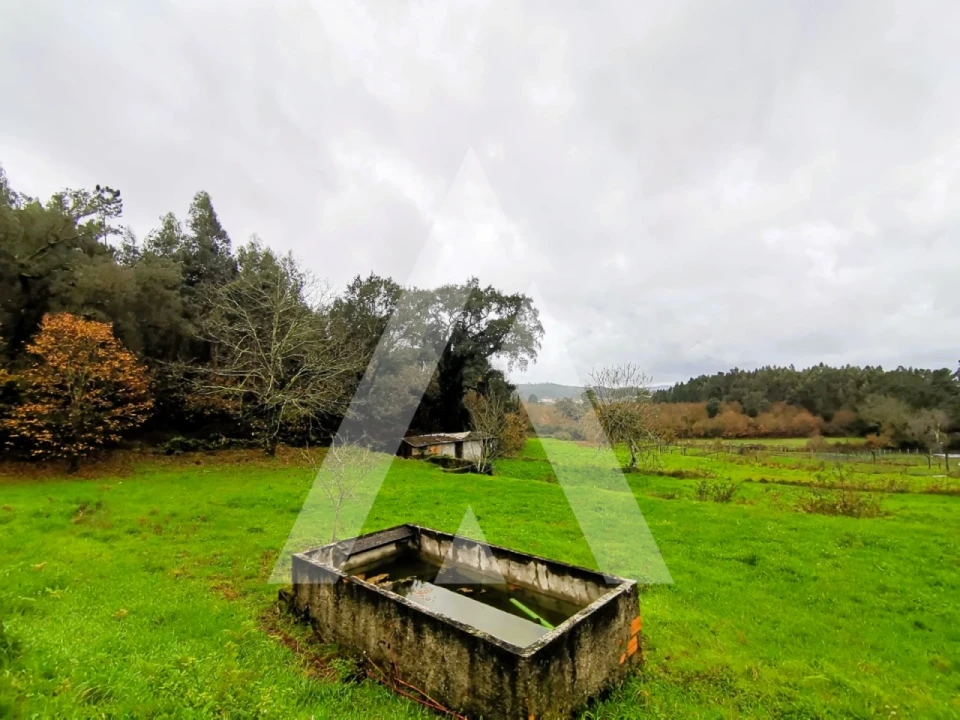 Terreno para Venda em Fonte Arcada Foto 1