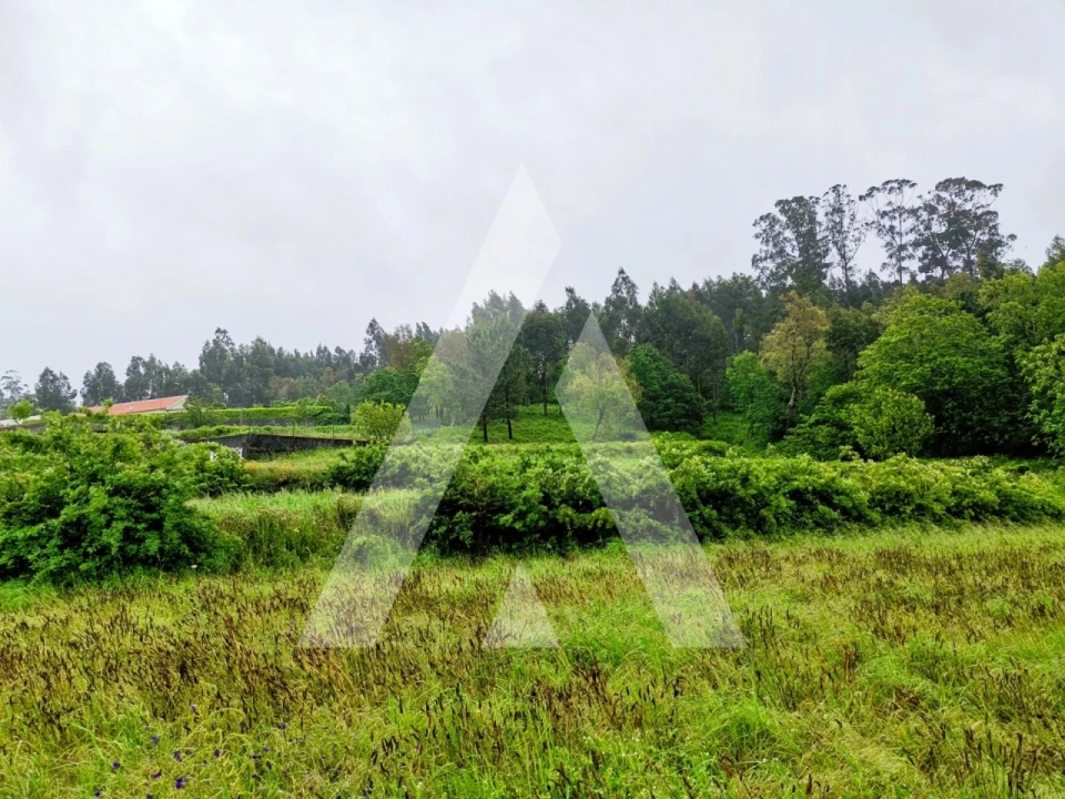 Terreno para Venda em Fonte Arcada Foto 11