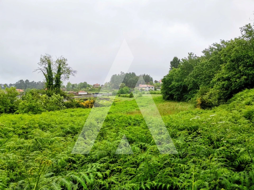 Terreno para Venda em Fonte Arcada Foto 12