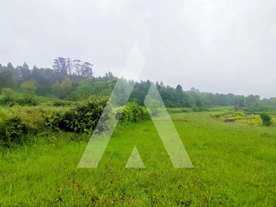 Terreno para Venda em Fonte Arcada Foto 13