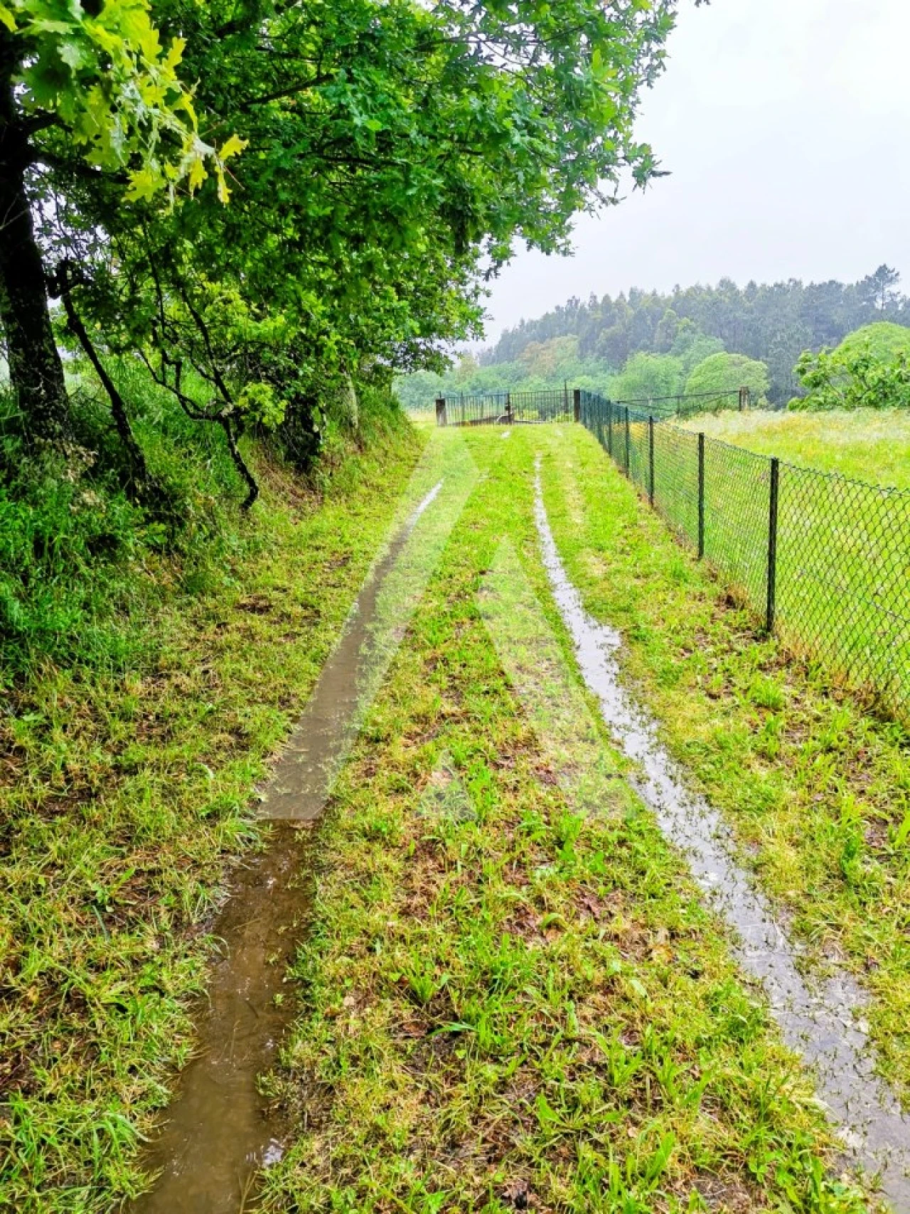 Terreno para Venda em Fonte Arcada Foto 16