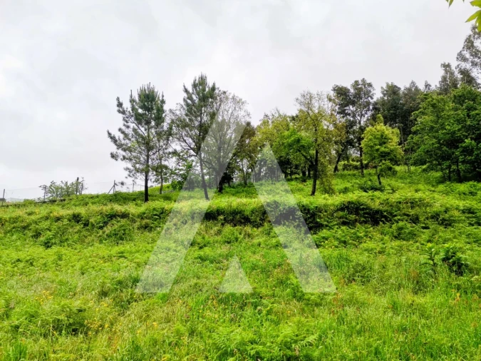 Terreno para Venda em Fonte Arcada Foto 4