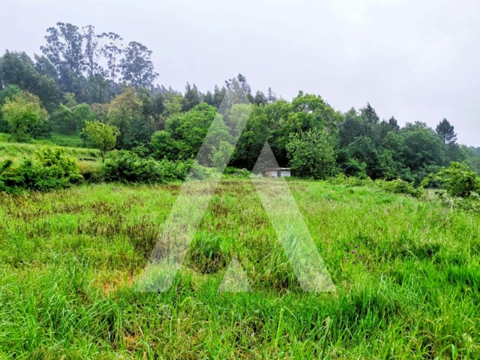 Terreno para Venda em Fonte Arcada Foto 5