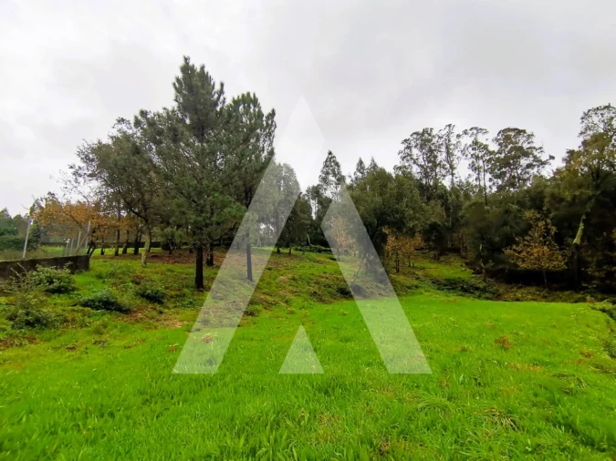 Terreno para Venda em Fonte Arcada Foto 10