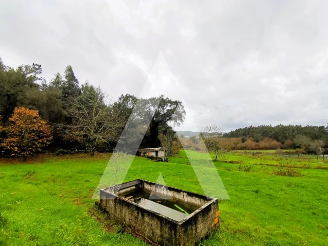 Terreno para Venda em Fonte Arcada Foto 1