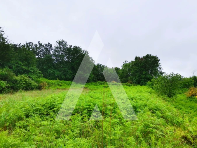 Terreno para Venda em Fonte Arcada Foto 14