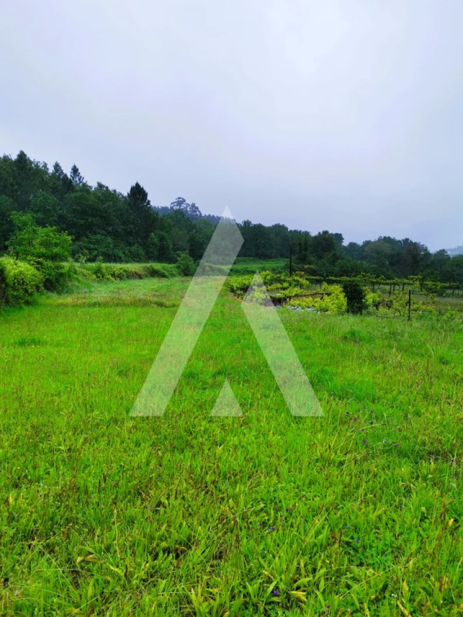 Terreno para Venda em Fonte Arcada Foto 17