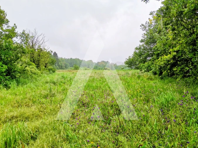Terreno para Venda em Fonte Arcada Foto 18
