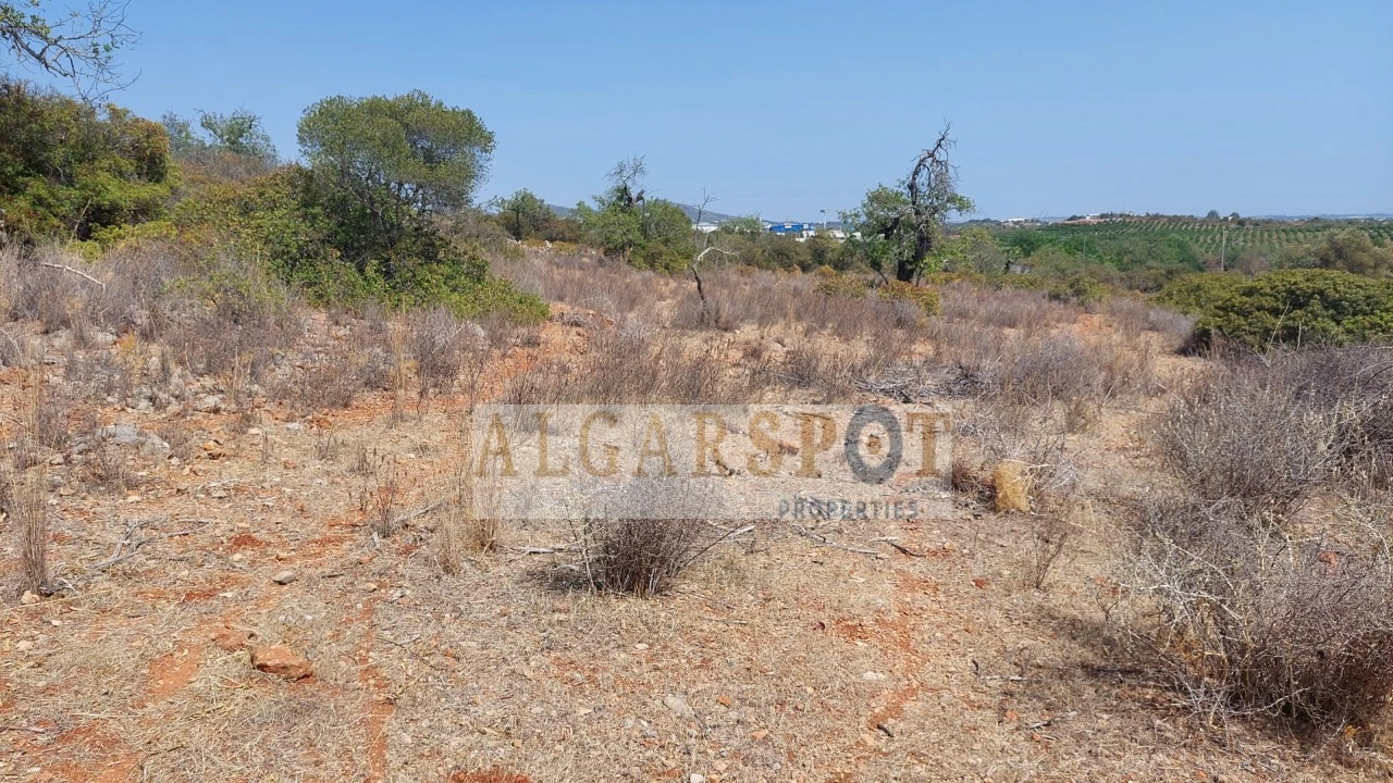 Terreno Misto para Venda em Loule (São Clemente) Foto 3