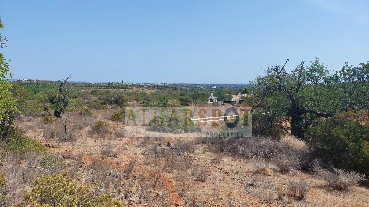 Terreno Misto para Venda em Loule (São Clemente) Foto 2