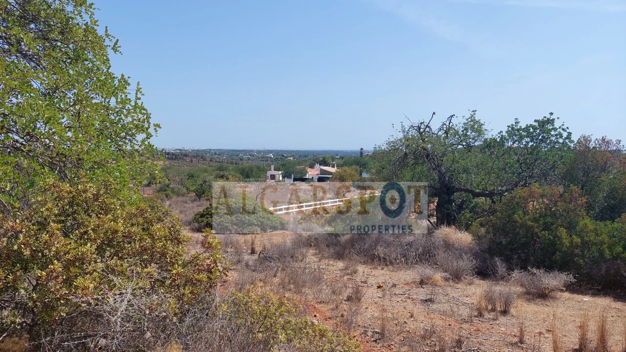 Terreno Misto para Venda em Loule (São Clemente) Foto 6