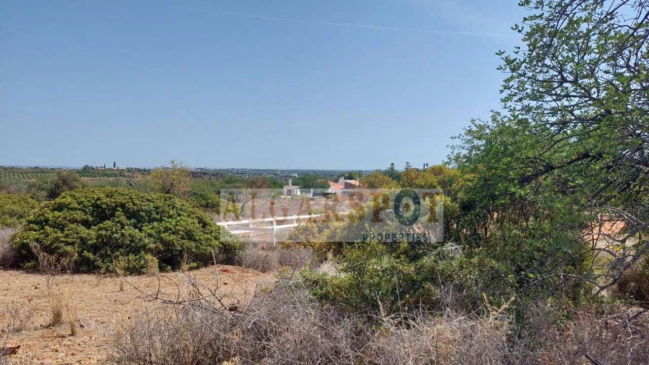 Terreno Misto para Venda em Loule (São Clemente) Foto 8