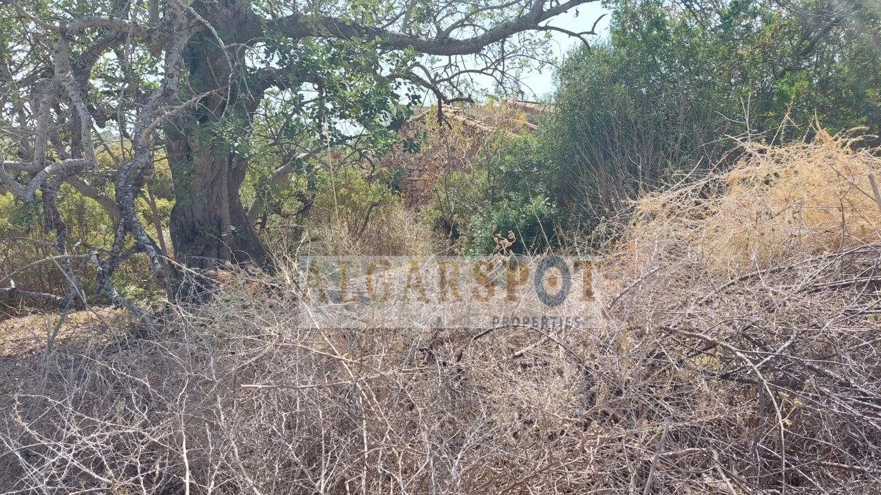 Terreno Misto para Venda em Loule (São Clemente) Foto 4