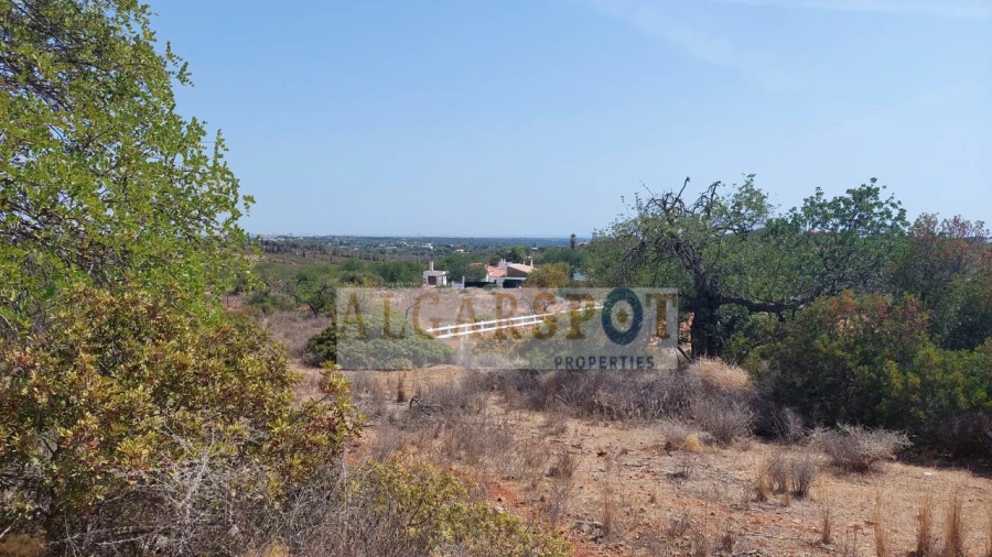 Terreno Misto para Venda em Loule (São Clemente) Foto 6